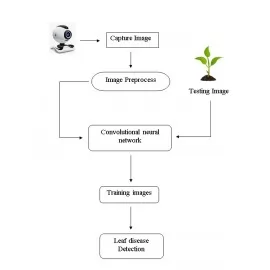 Plant recognition clearance using machine learning